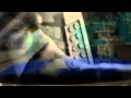 Ty Segall - Ceasar - Melted 2010 