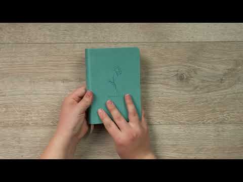 Video Preview for Biblia compacta NTV, con Filament | LeatherLike, Teal