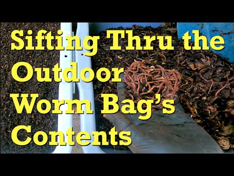 Outdoor worm bag's contents sifted & materials staged for next steps - vermicomposting