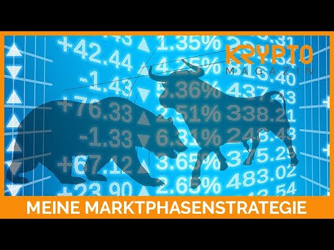 MEINE MARKTPHASENSTRATEGIE