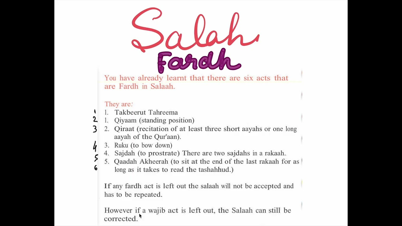 Basics of islam preview