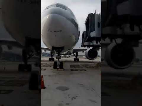 Using Free Shuttle Bus at KLIA