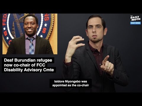 The Daily Moth 4-18-19