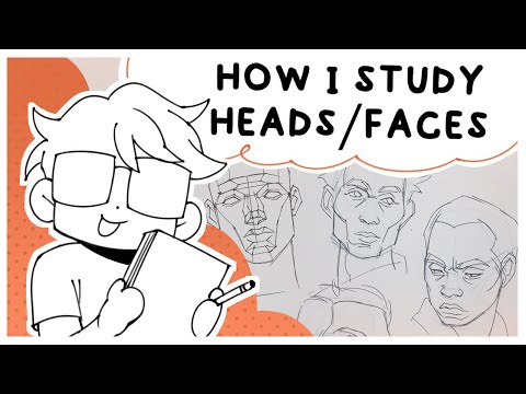 How I Study Heads/Faces
