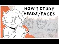 How I Study Heads Faces