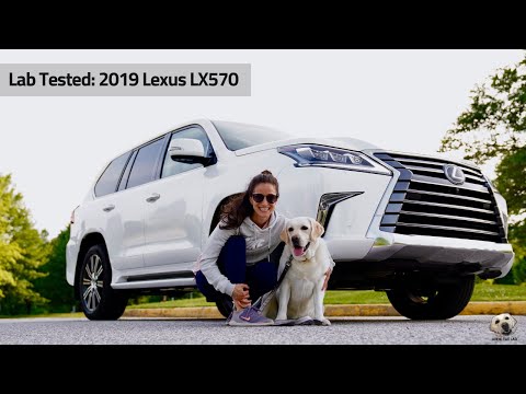2019 Lexus LX570: Andie the Lab Review!