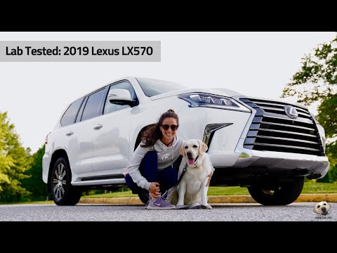 2019 Lexus LX570: Andie the Lab Review! Video