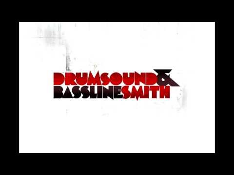 Drumsound & Bassline Smith - Mini Mix (2013)