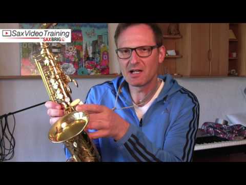 Vorsicht mit den Lederpolstern! DailySax 107 Lederpolster vorsichtig säubern! Saxophon lernen