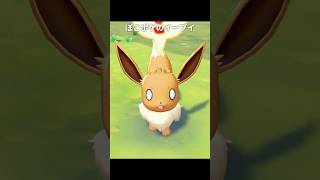 イーブイの質感が最高に素敵な理由｜ポケモンZA/剣盾/SV/BDSP/ピカブイ/ぽこあ