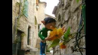 preview picture of video 'Gaston à Saint Martin de Londres - juin 2012'