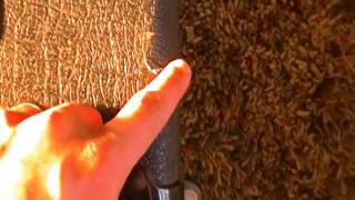 Video thumbnail for Marshall G100CD amp  with model #8412 4X12 cab by Craig Waterman
