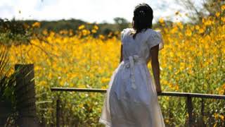 Cat Power – Empty Shell