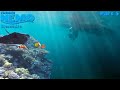 Finding Nemo The Live Action Remake Part 5
