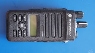 ����� Motorola DP2600