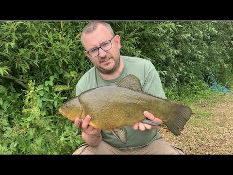 Tenchfishers Oxfordshire Region Fish-in, Oxlease Lake (2022)