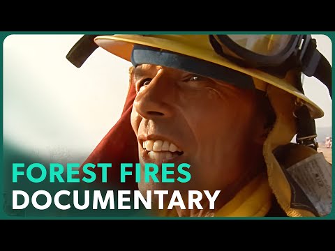 Storm Rider (Forest Fire Documentary)