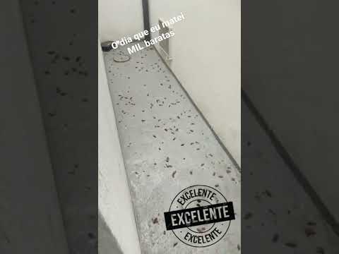 The day I killed a thousand cockroaches #shorts #pestcontrol #urbanpests #cockroach #pestcontrol