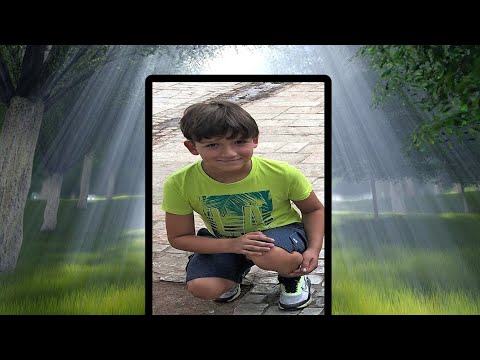 Endri Mallkuqi - Balade per Aldon