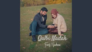 Download lagu Qalbi Nadak mp3