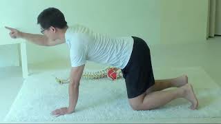 D01山峰山谷運動--脊椎調衡運動系列