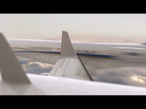 2006 Amazon Rainforest Mid-Air Collision - Crash Animation