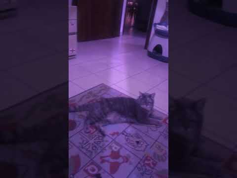 ❤😻❤😻 Buona serata a te da Faustina  okki belli!!!!