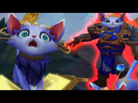 What I want from the Yuumi Rework