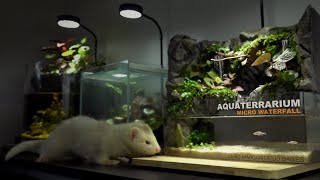 Making Aquarium with Plastic Daiso Model BOX
