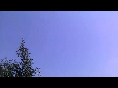 Dynekat e Kosoves Vlladika Javria 2015 e Suadit