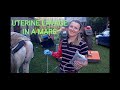 Uterine Lavage In A Mare PŁUKANIE MACICY U KLACZY