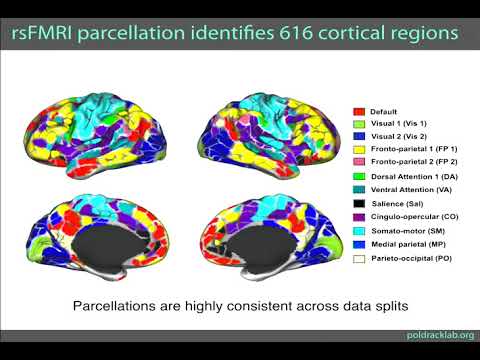 8th Annual TMII Symposium – 2018 – Session I - Neuroimaging – Russell Poldrack, PhD