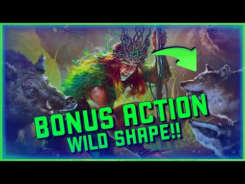 Recensione completa della classe DRUID D&D 2024 (ENORME rielaborazione!!)