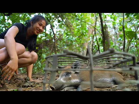 A Wild Boar Falls Into A Trap - The Joy Is Not Over - Then The Bad Happens..., The End - Camping