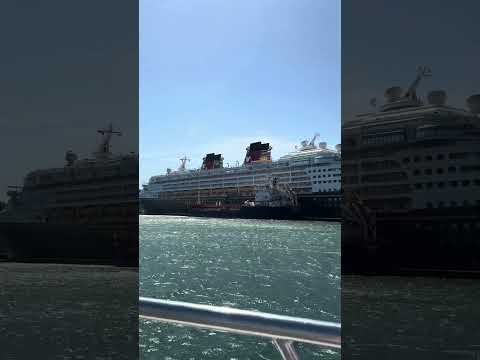 Thumbnail for The big Disney Wonder Cruise Ship in Sydney Harbour Sydney Australia