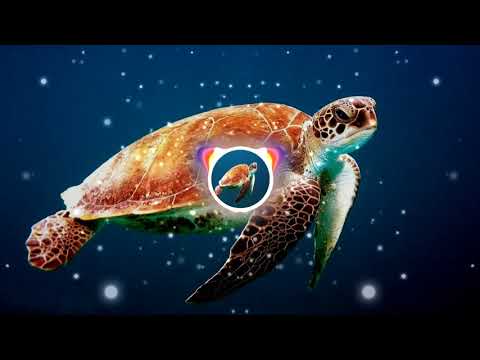 Y3NDO - Daiquiri Beach COPYRIGHT FREE