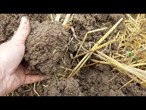 nach der Ernte ist vor der Ernte