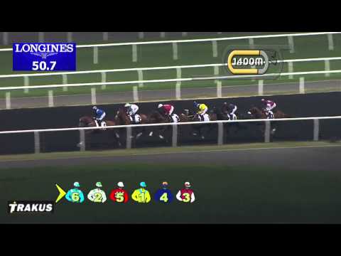 01.03.2014 Meydan (Dubai-UAE) 1.Race District One Phase II - Handicap 2.000 m