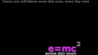 Some Day Soon - Babel Fish