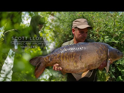 Scott Lloyd - The Capture of Hartleys