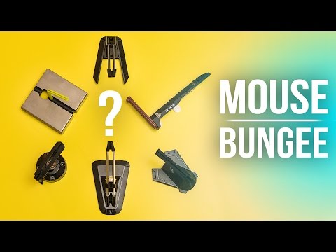 Mouse Bungees - Are They Pointless or Perfect?