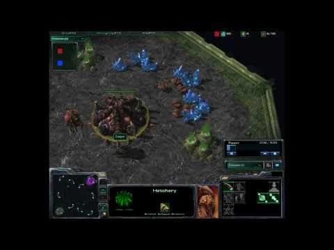 SC2 ZvT 1v1