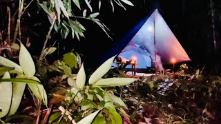 Download lagu Camping solo sleeping alone in the haunted forest of the Kalimantan river and fishing part-2 mp3