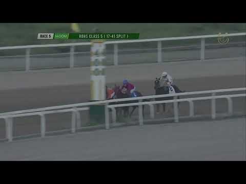 R5   AMOR MY LOVE     PJC  DEC 27  2025