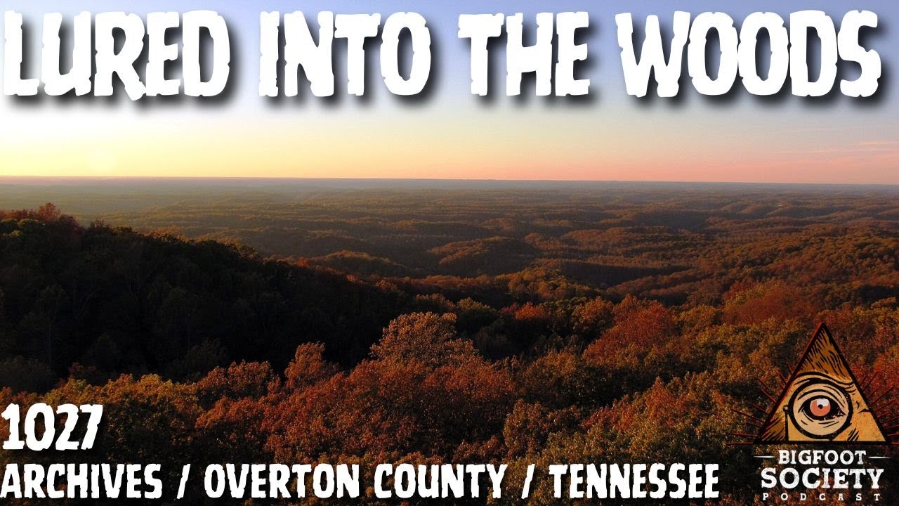 They’ve Been Living on Her Land for Years | Overton County Tennessee Bigfoot Encounters | Archives