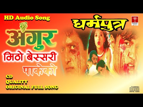 Angur Mitho Bessari Pakeko || Sambhujeet Baskota || Devika Pradhan || Old Nepali Movie Dharma Putra