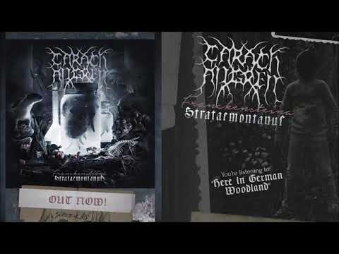 Video thumbnail for Here in German Woodland