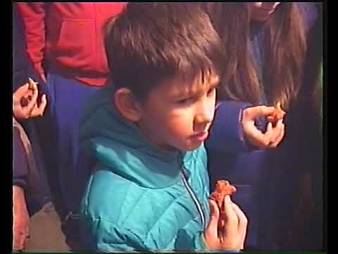 Badnjak 2017 (Roščići-Grabovac)