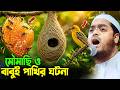 মৌমাছি ও বাবুই পাখির ঘটনা হাফিজুর রহম�