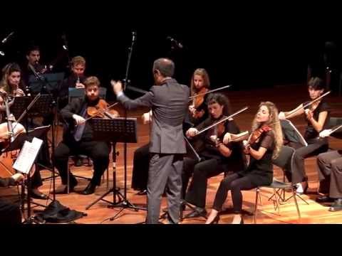 Schubert: Rosamunde. Tel-Aviv Soloists/Barak Tal